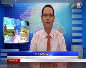 Điện bàn quê tôi