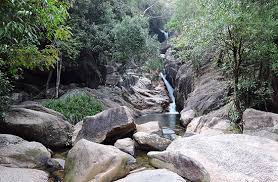 Suối Tiên